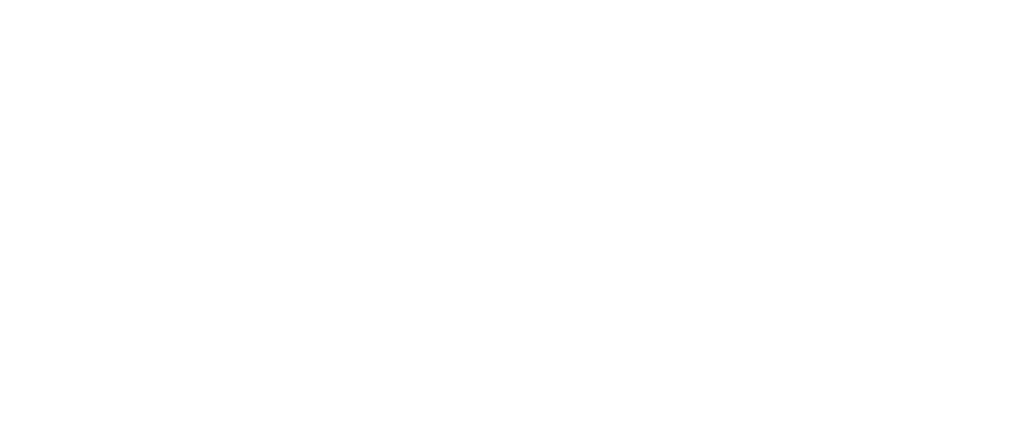 Meta